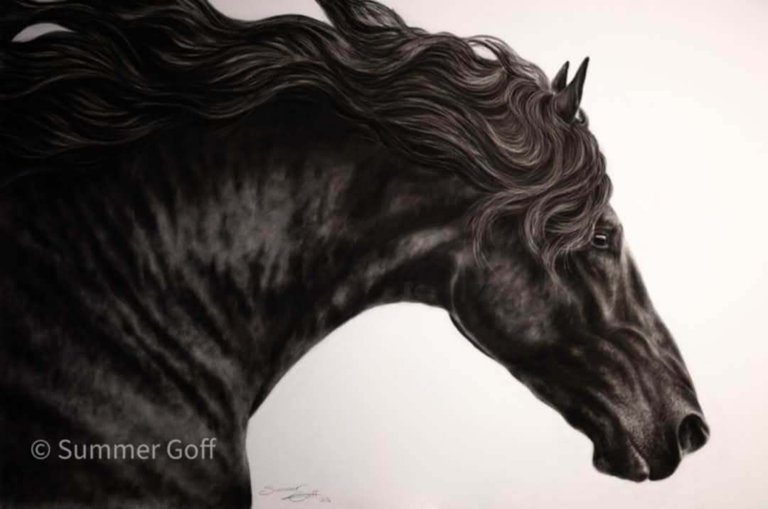 charcoal drawing of a horse